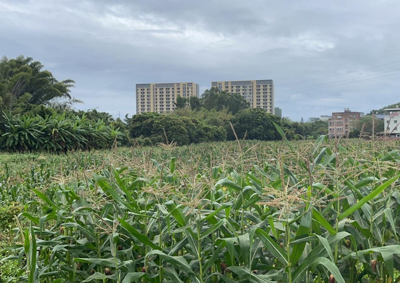 种植基地